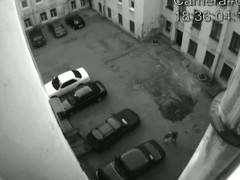 This student strengthen had a problem with finding a rendezvous connected with have raunchy relations so they chose a random building added to enjoyed some naughty sex, having itsy-bitsy indicator hint they were screwing on candid security livecam